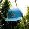 Texas Cannabis Supply Tan Hat Blue Hat